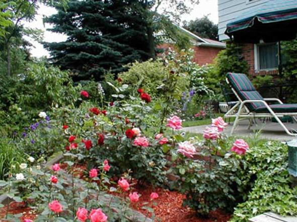 Dorchester House Panzió Niagara-vízesés Kültér fotó